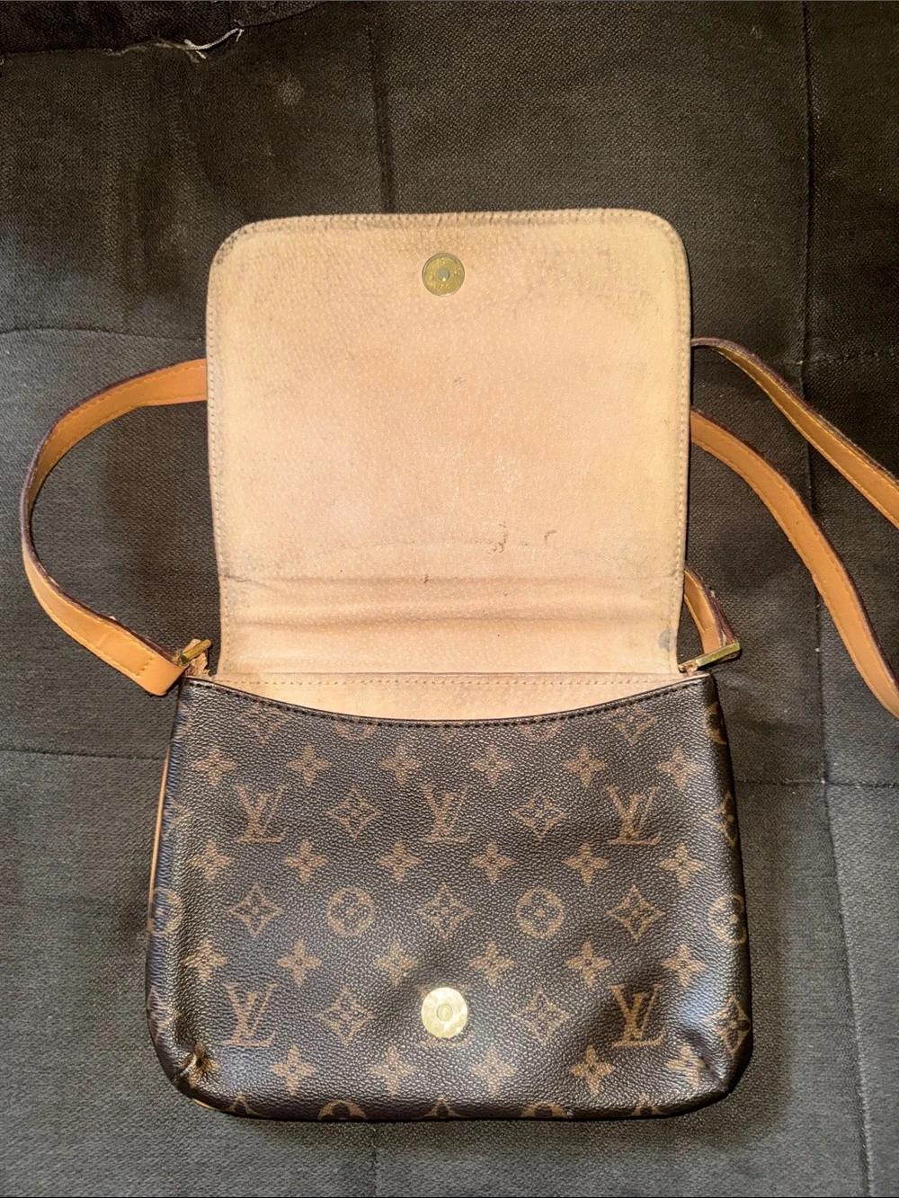 Louis Vuitton authentic louis
